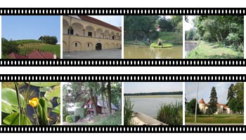 Presentation of Rače and Fram